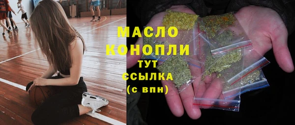 винт Ельня