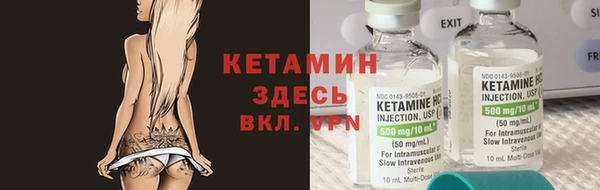 винт Ельня