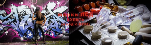 винт Ельня