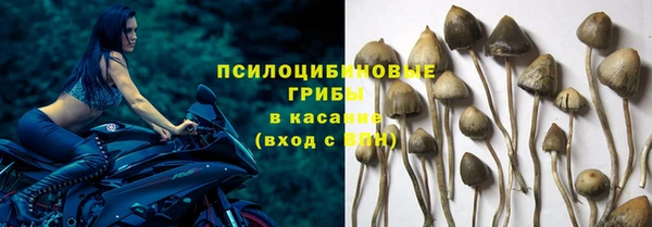 крисы Елизово