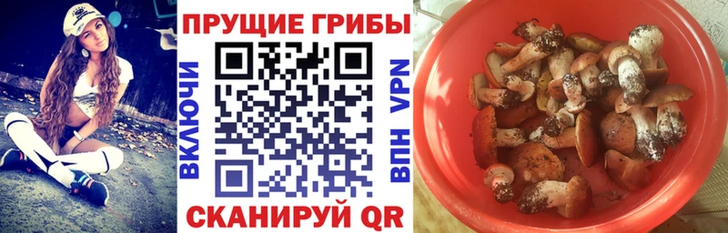Галлюциногенные грибы мицелий  сколько стоит  Жердевка 